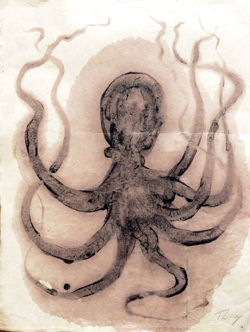 Octopus radiation