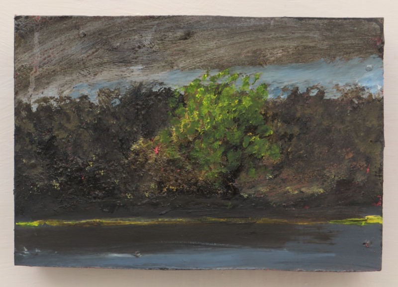 Hedge, first spring blossom and yellow line, study