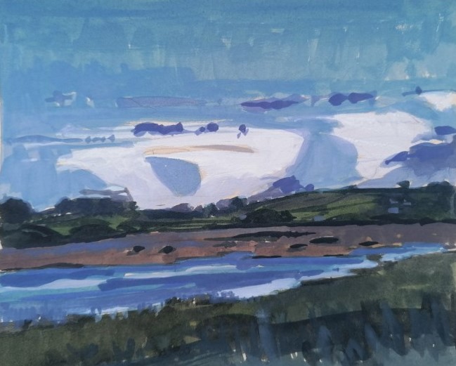 Wetlands Study, Marazion