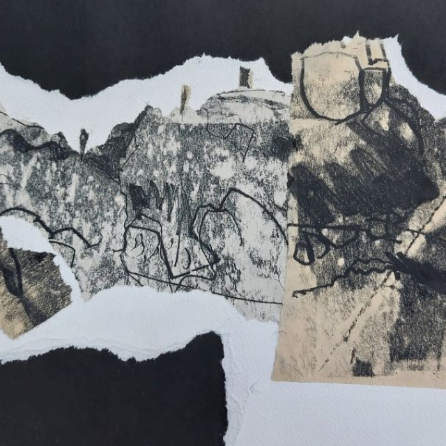 Anita Reynolds- monoprint collage